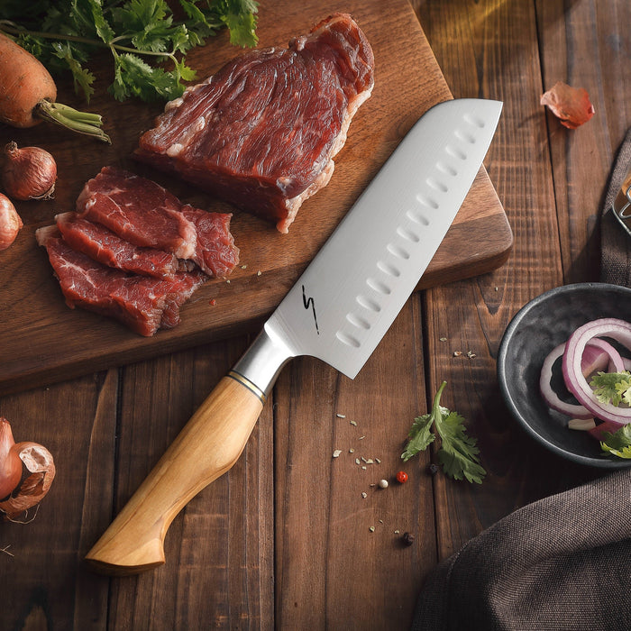 FUDO 5-Piece Knife Set
