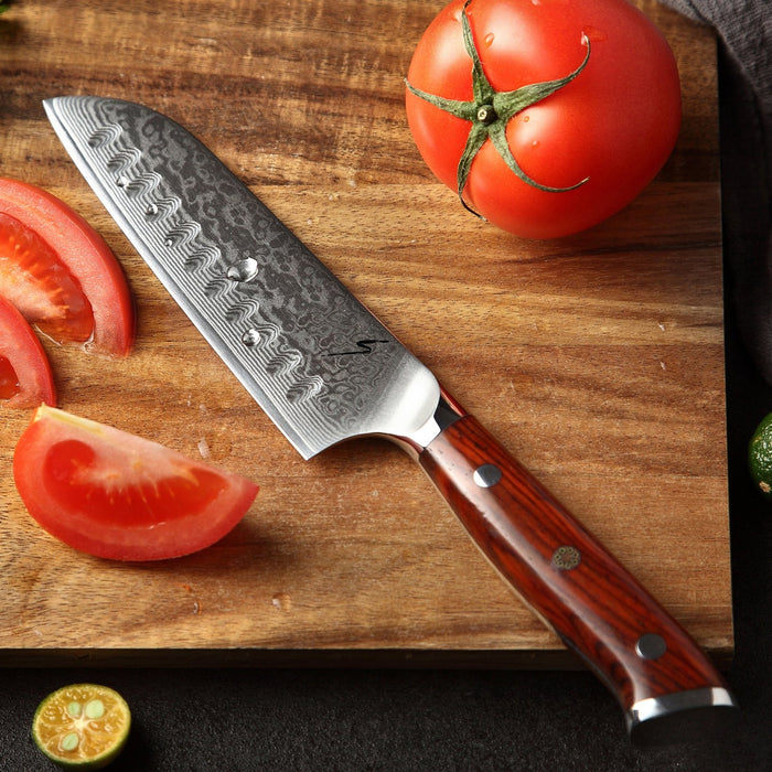 RYUJIN 13-Piece Knife Set